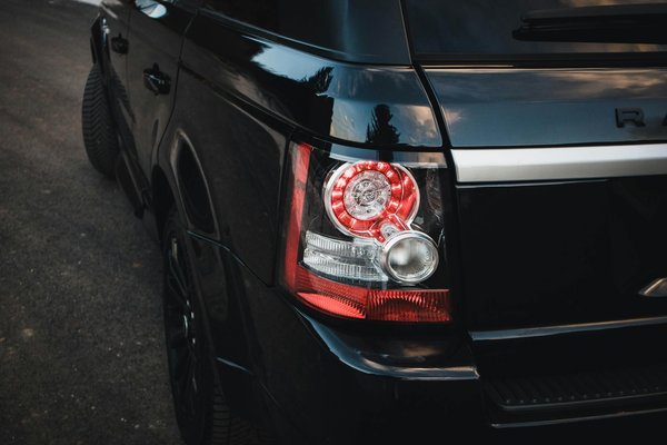 Welche Trainingsmethoden sind effektiv fÃ¼r verschiedene Haustierarten?